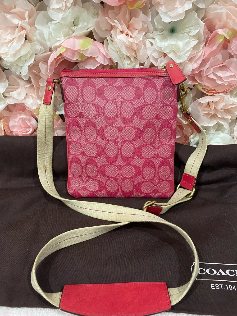 Coach  Signature C Jacquard Crossbody Bag